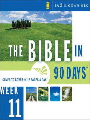 cover image of The Bible in 90 Days